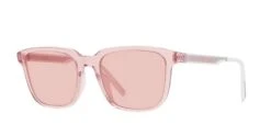 Dior Tag SU -Oakley || Prada Sales 0001 DM40019U26E054
