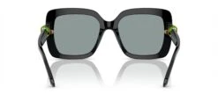 Swarovski SK6001 23 Swarovski SK6001 -Oakley || Prada Sales 0SK6001 1001 1 P21 shad bk 7c8db0d4 e0f7 4ede 8431 b6511c43622f