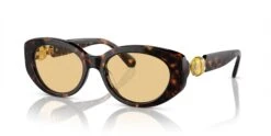 Swarovski SK6002 -Oakley || Prada Sales 0SK6002 1002 8 P21 shad qt 6321e93e b507 4e62 96c1 bd8cd43e6440