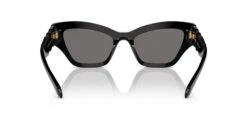 Swarovski SK6021 23 Swarovski SK6021 -Oakley || Prada Sales 0SK6021 100181 P21 shad bk 8684286a f0a9 4155 a328 7a591e116351
