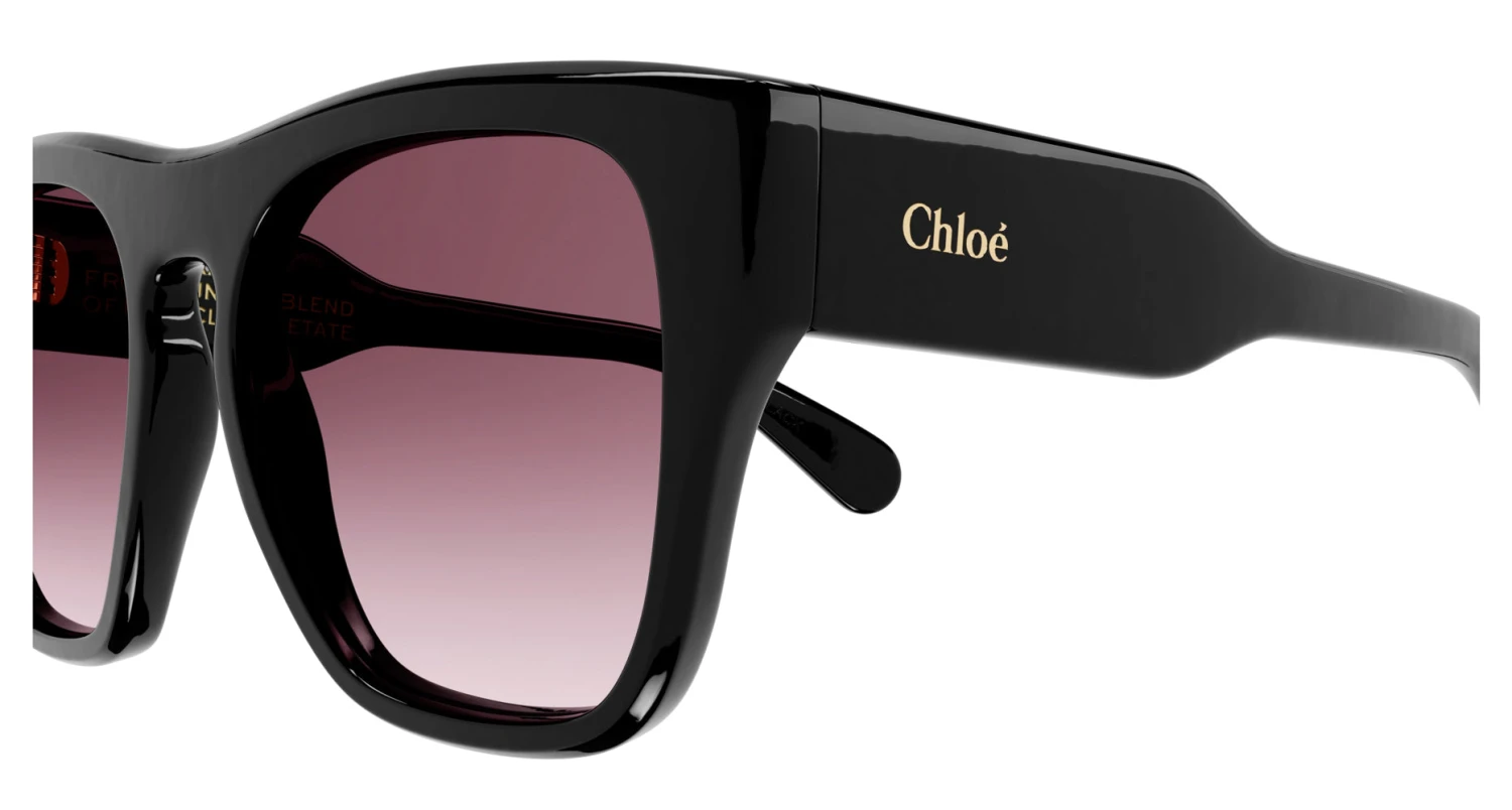Chloé Chloe CH0149S 3 Chloé Chloe CH0149S - Image 3