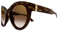 Cartier CT0436S -Oakley || Prada Sales CT0436S 002 zoom xxl fb643976 cc48 463d 8966 56ce8491db9f