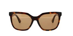Serengeti Wakota -Oakley || Prada Sales wakota ss536004 01